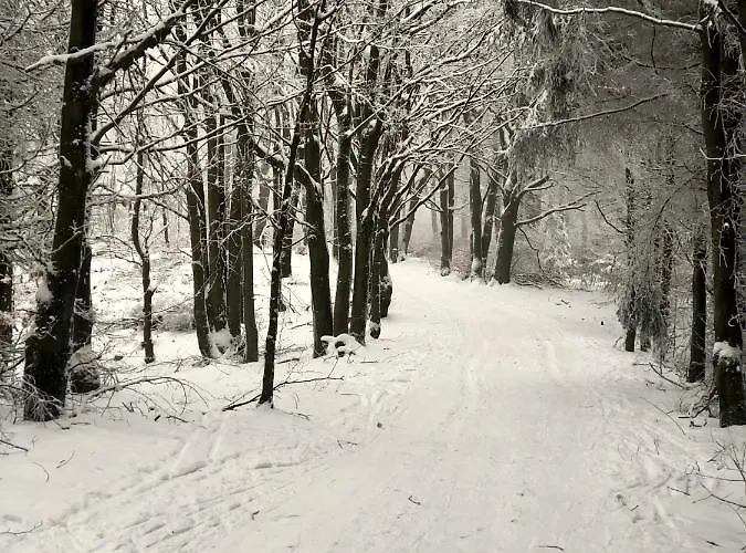 V Krátké